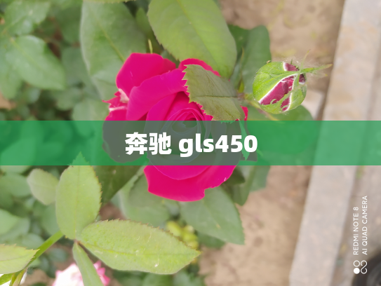 奔驰 gls450
