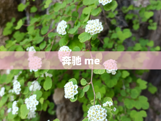 奔驰 me