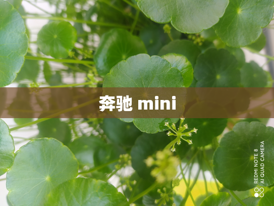 奔驰 mini