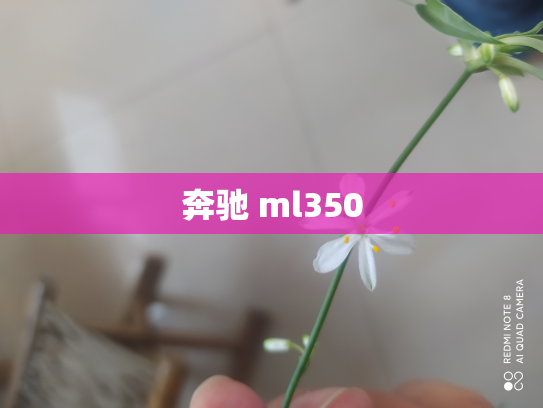 奔驰 ml350