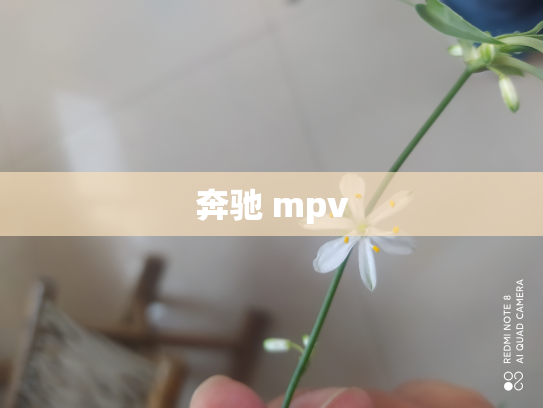 奔驰 mpv