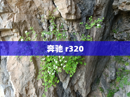 奔驰 r320