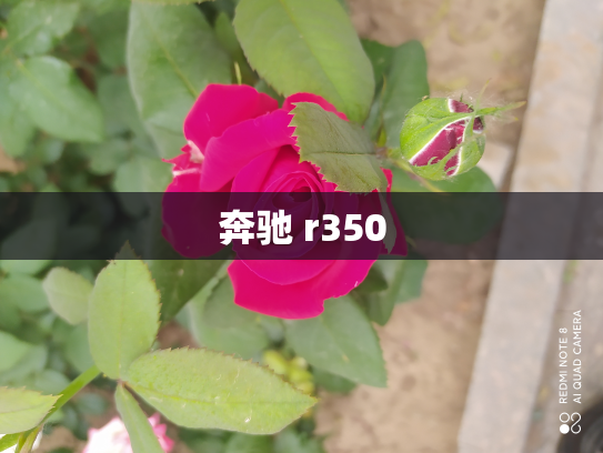 奔驰 r350