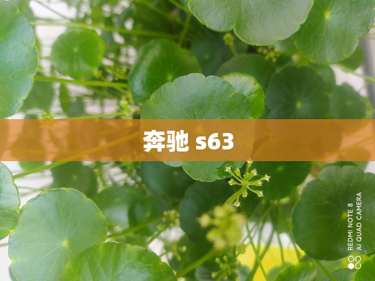 奔驰 s63