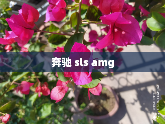 奔驰 sls amg