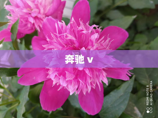 奔驰 v