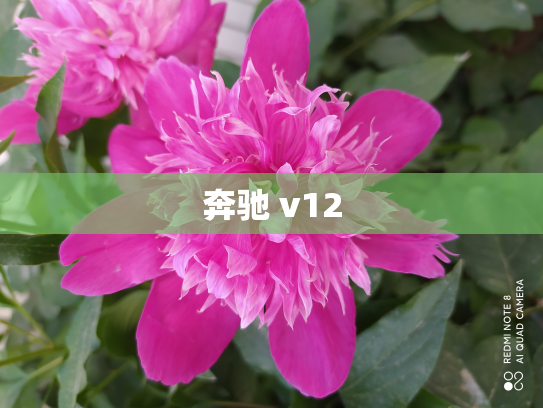 奔驰 v12