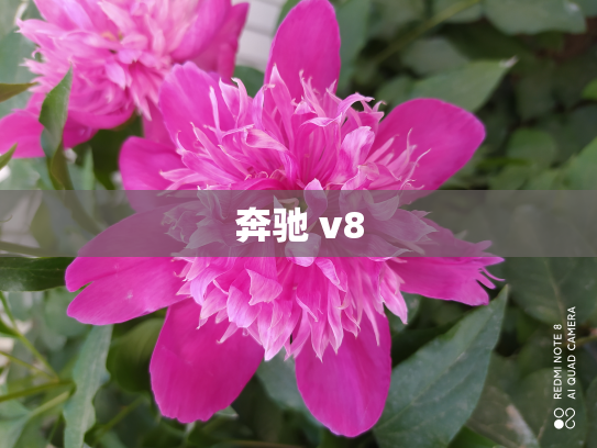 奔驰 v8