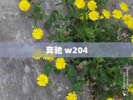 奔驰 w204