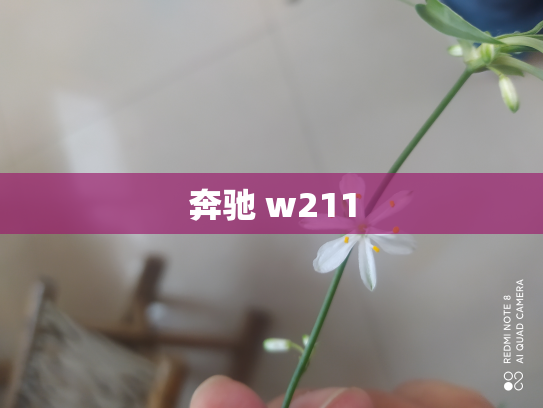 奔驰 w211