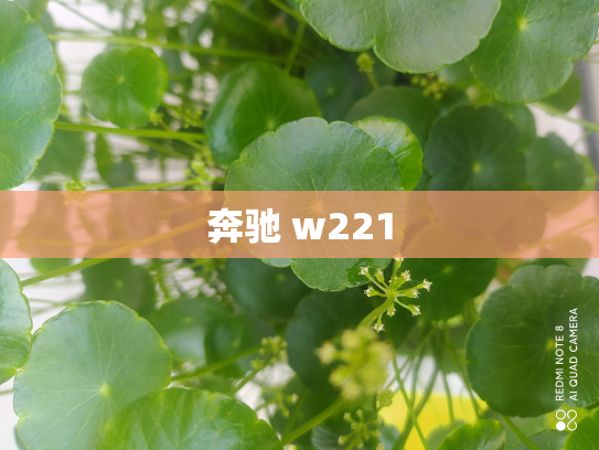 奔驰 w221