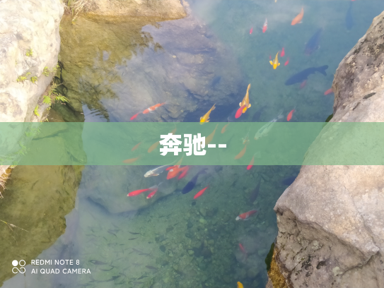 奔驰--