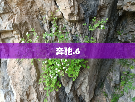奔驰.6