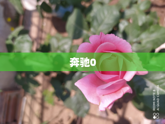 奔驰0