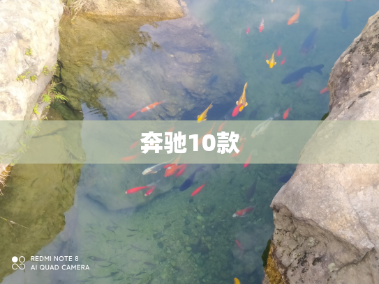 奔驰10款