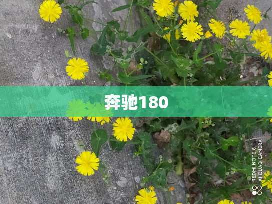 奔驰180