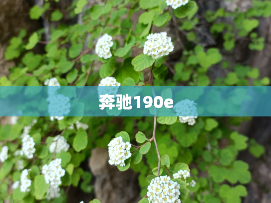 奔驰190e