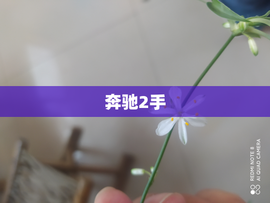 奔驰2手
