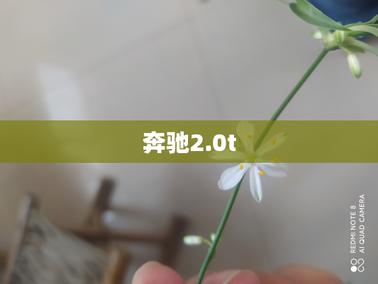 奔驰2.0t