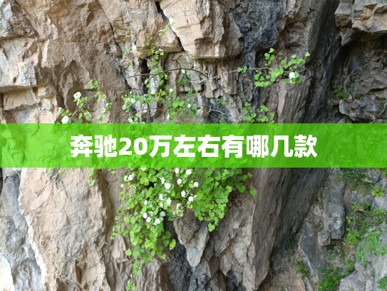 奔驰20万左右有哪几款
