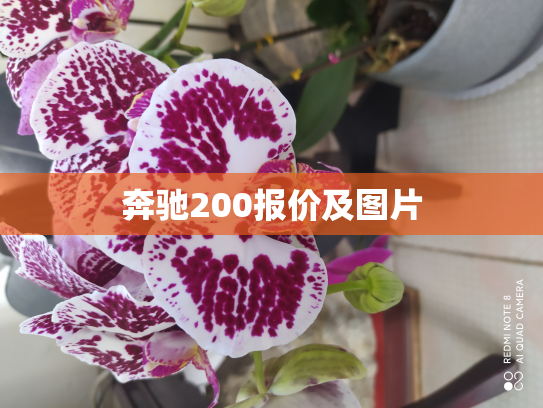 奔驰200报价及图片
