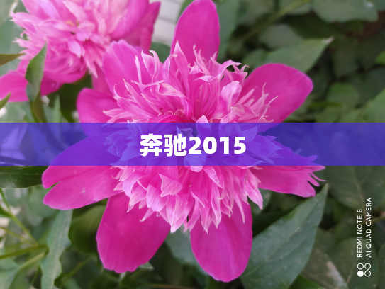 奔驰2015