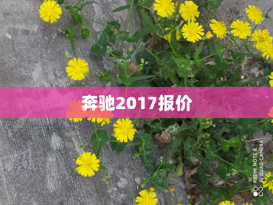 奔驰2017报价