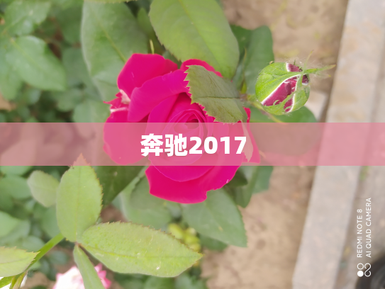 奔驰2017