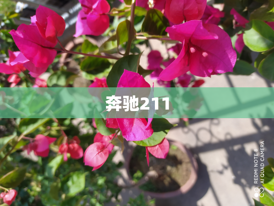 奔驰211