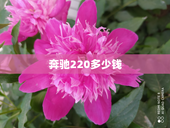 奔驰220多少钱