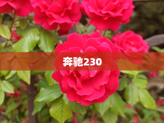 奔驰230