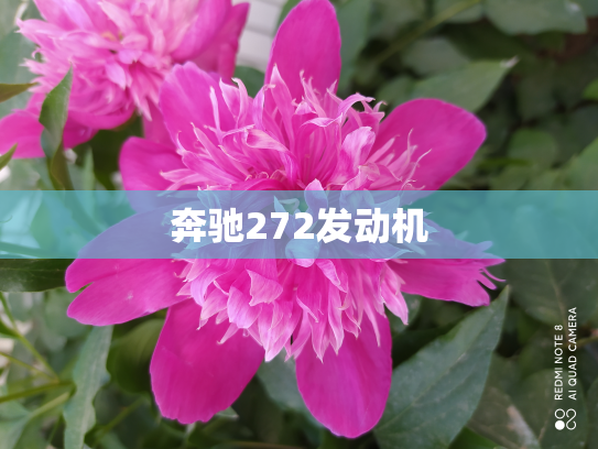 奔驰272发动机
