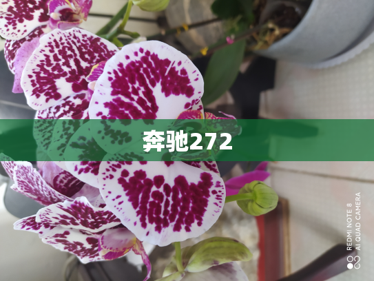 奔驰272