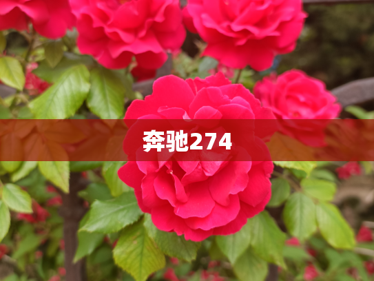 奔驰274
