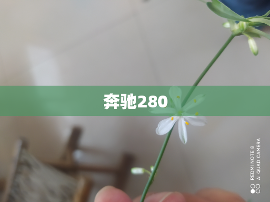 奔驰280