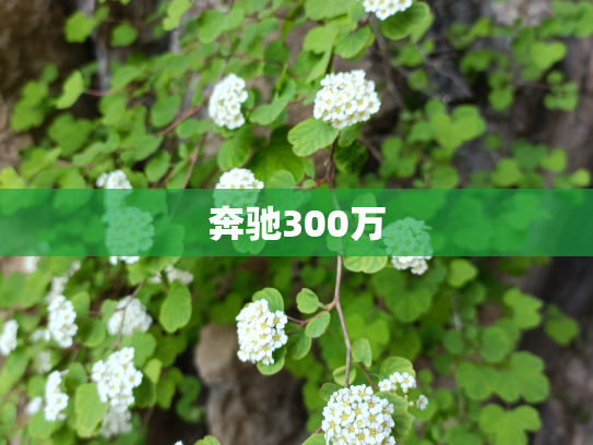 奔驰300万