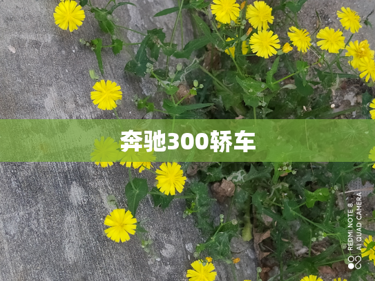奔驰300轿车