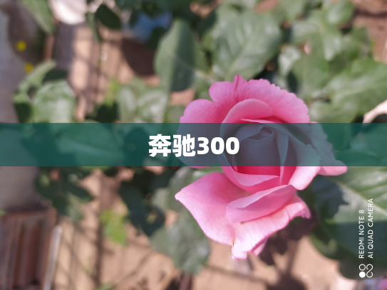 奔驰300