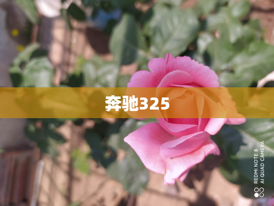 奔驰325