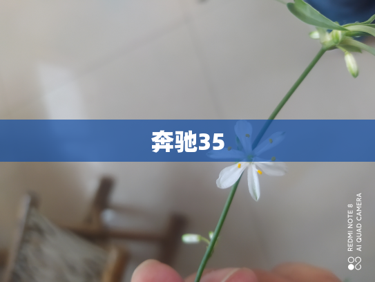 奔驰35