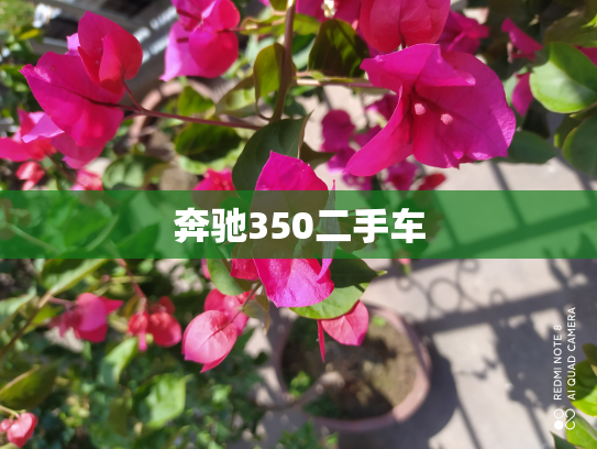 奔驰350二手车