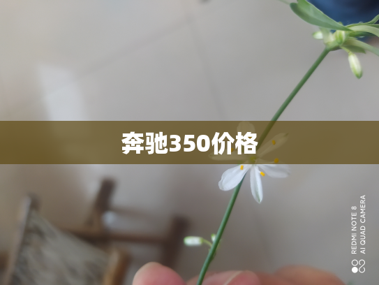 奔驰350价格