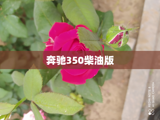 奔驰350柴油版