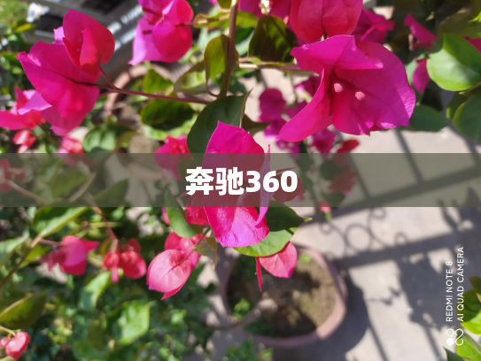 奔驰360