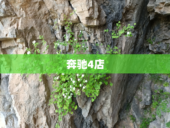奔驰4店