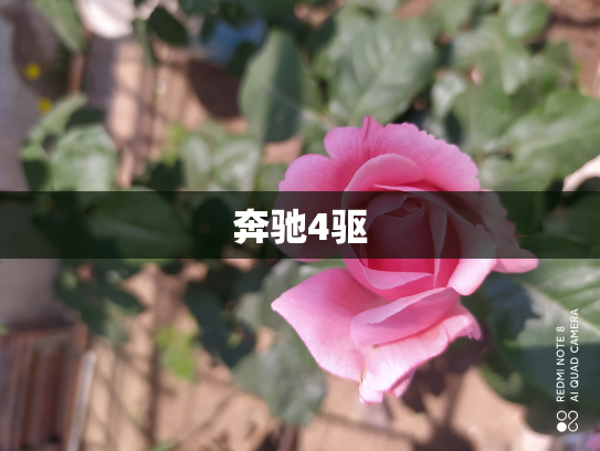 奔驰4驱