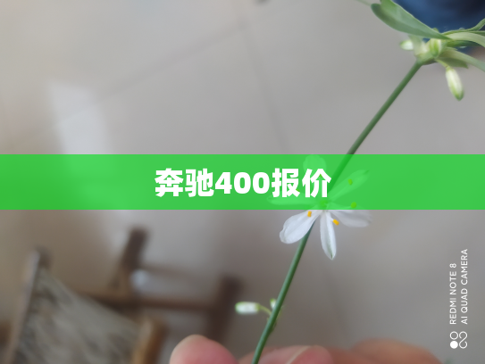奔驰400报价