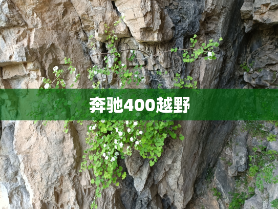 奔驰400越野