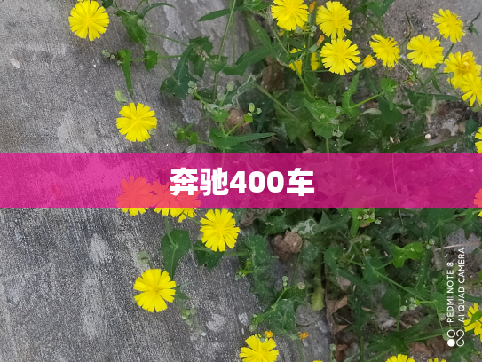 奔驰400车