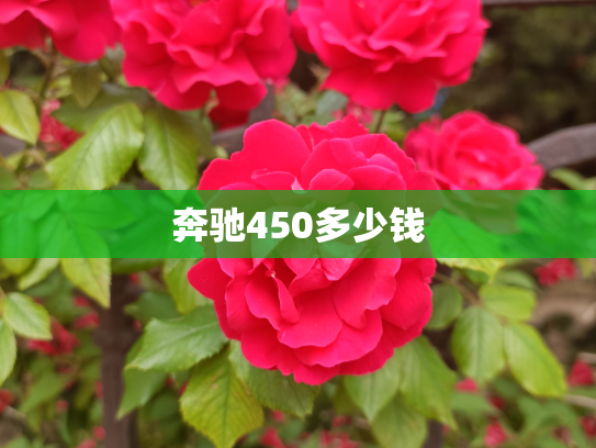 奔驰450多少钱